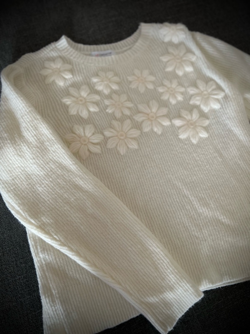 Liz Claiborne Cream Floral Appliqué Crewneck Sweater
